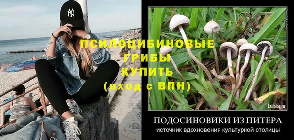 спайс Абинск
