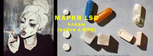 ПСИЛОЦИБИНОВЫЕ ГРИБЫ Абаза
