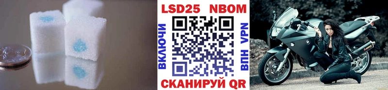 кракен   Стрежевой  Лсд 25 экстази ecstasy 