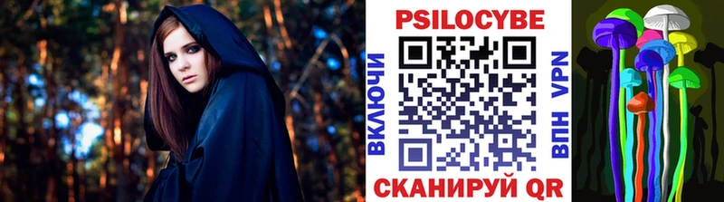 Галлюциногенные грибы Psilocybe  Стрежевой 